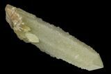 Sage-Green Quartz Crystal with Dual Core - Mongolia #169902-1